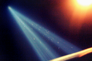 Illustration for article titled 10,000 Birds Trapped In the World Trade Center Light Beams